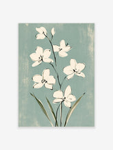 White jasmine flower botanical art print with black outlines and green leaves on teal background