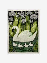 Illustrative white swan and four cygnets swimming in green water, surrounded by green reeds and white flowers