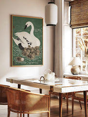 White swan with black beak and eye swimming with a cluster of brown cygnets on green water, in a styled room mockup