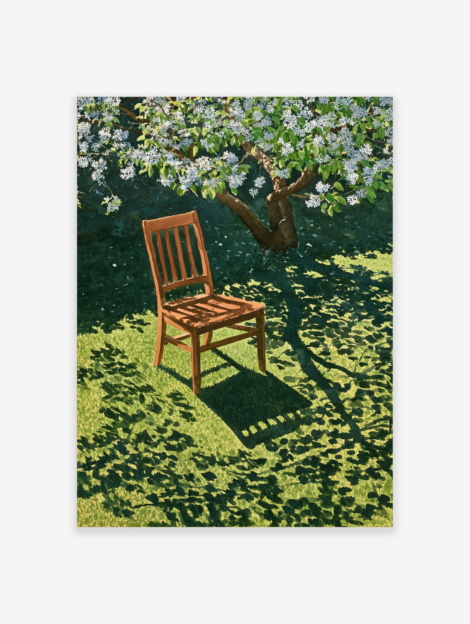 Wooden chair resting on green grass under a blooming white tree, casting dappled shadows on the lawn