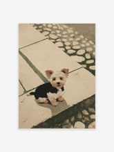 Illustrated Yorkshire Terrier puppy sitting on stone steps. Yorkie wall art print in earthy tones.