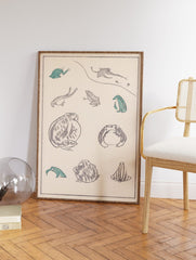 Japanese Frog Poster, Japanese Frog Varieties Print