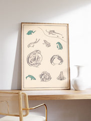 Japanese Frog Poster, Japanese Frog Varieties Print