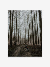 Black and White Forest Poster, Forest Photo Print