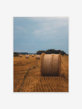 Farming Poster, Field Photo Print