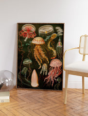 Jellyfish Poster, Vintage Jellyfish Print
