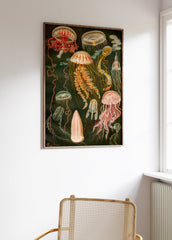 Jellyfish Poster, Vintage Jellyfish Print