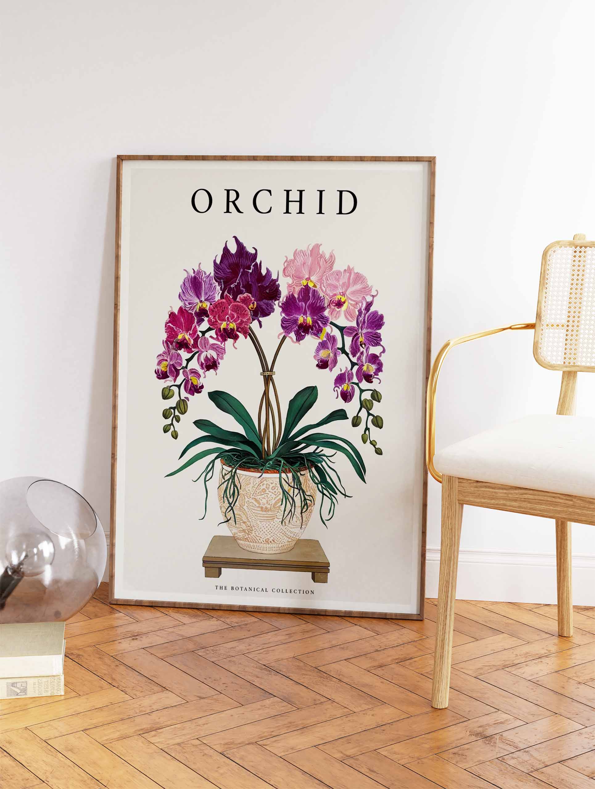 Orchid Flower Poster