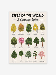 Tree Varieties Poster, Tree Print