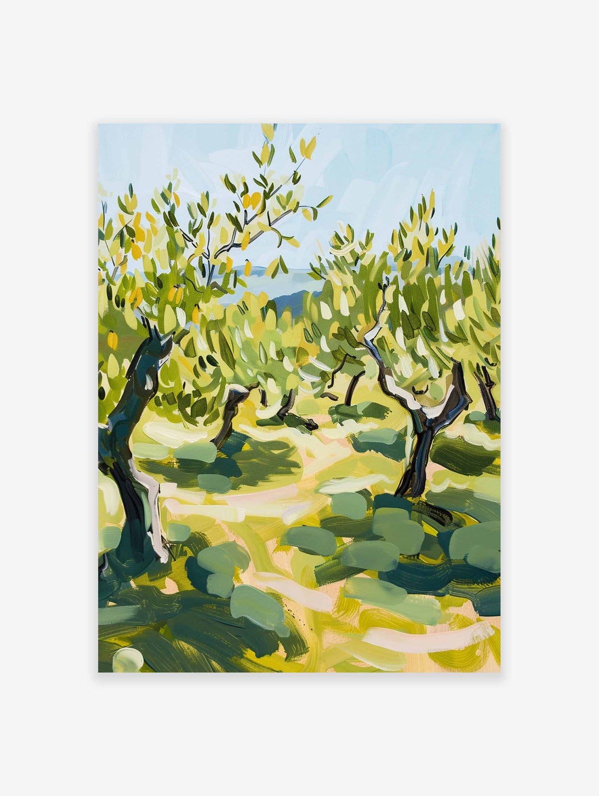 Olive Tree Poster