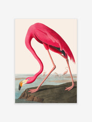 Vintage Flamingo Poster, Pink Flamingo Print