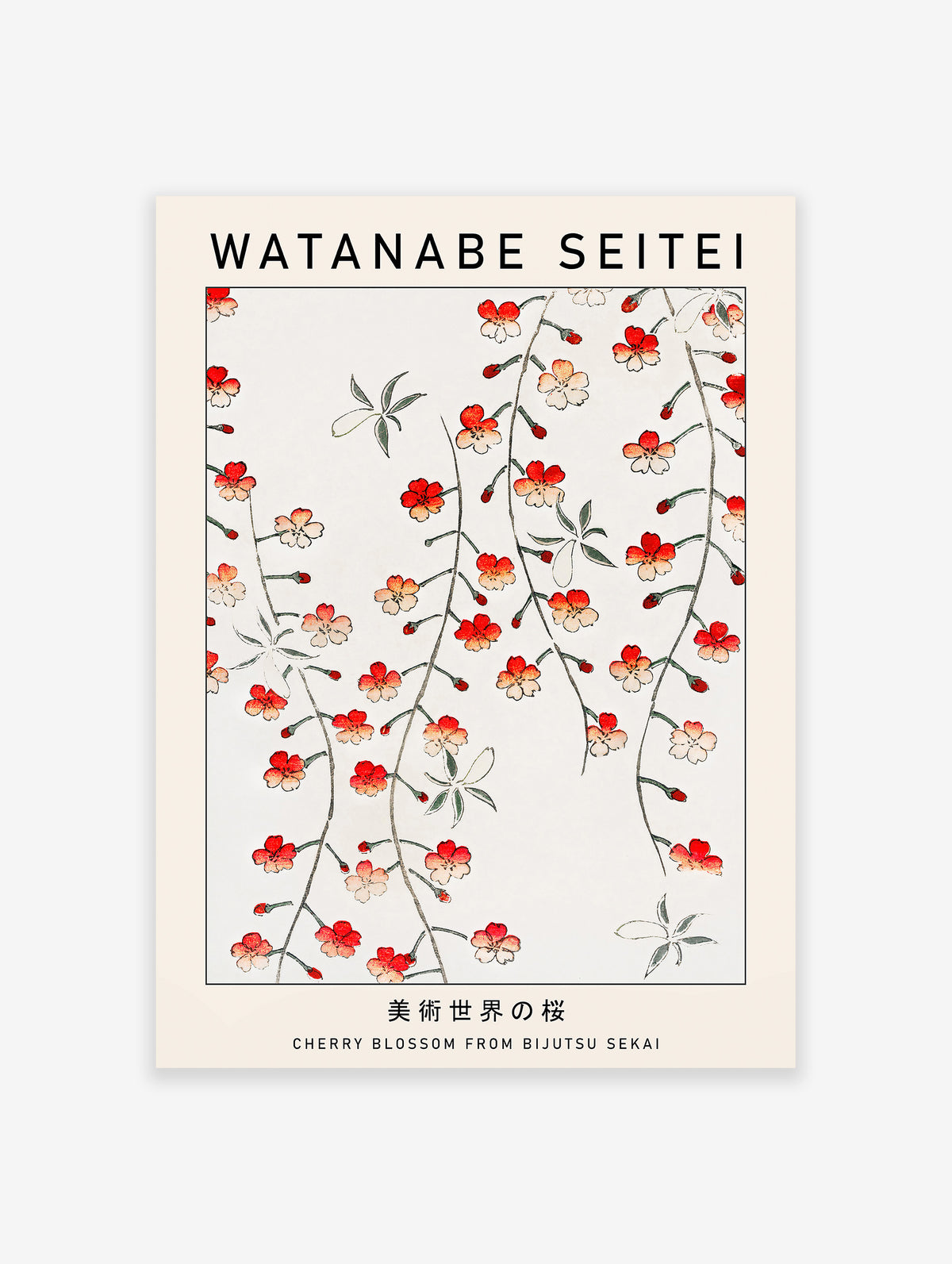 Cherry Blossom Poster by Watanabe Seitei, Watanabe Seitei Print