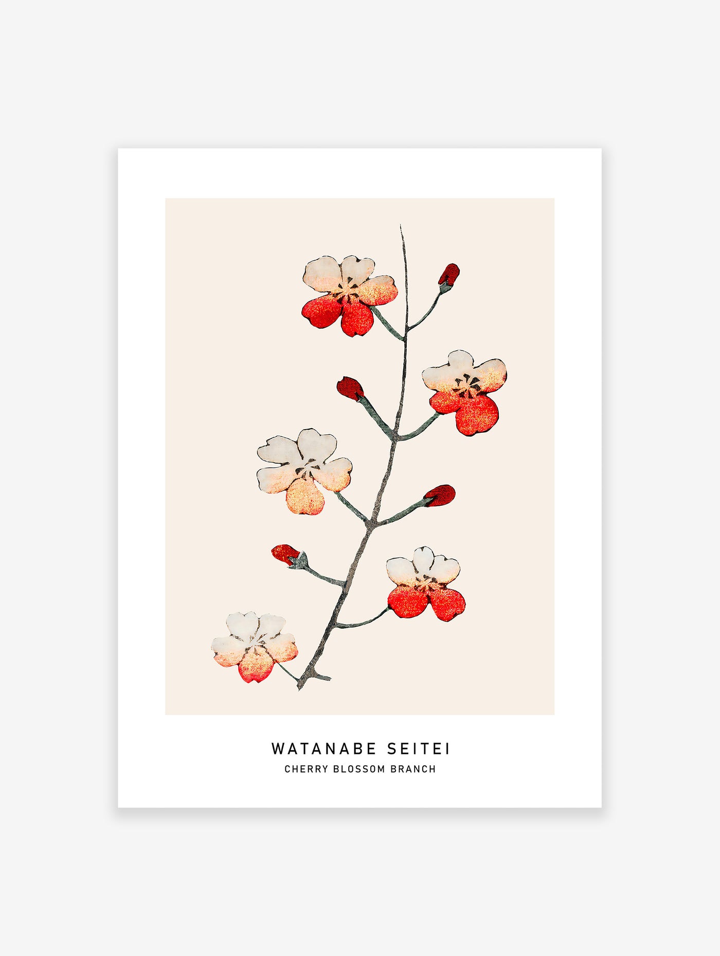 Japanese Cherry Blossom Poster, Japanese Print