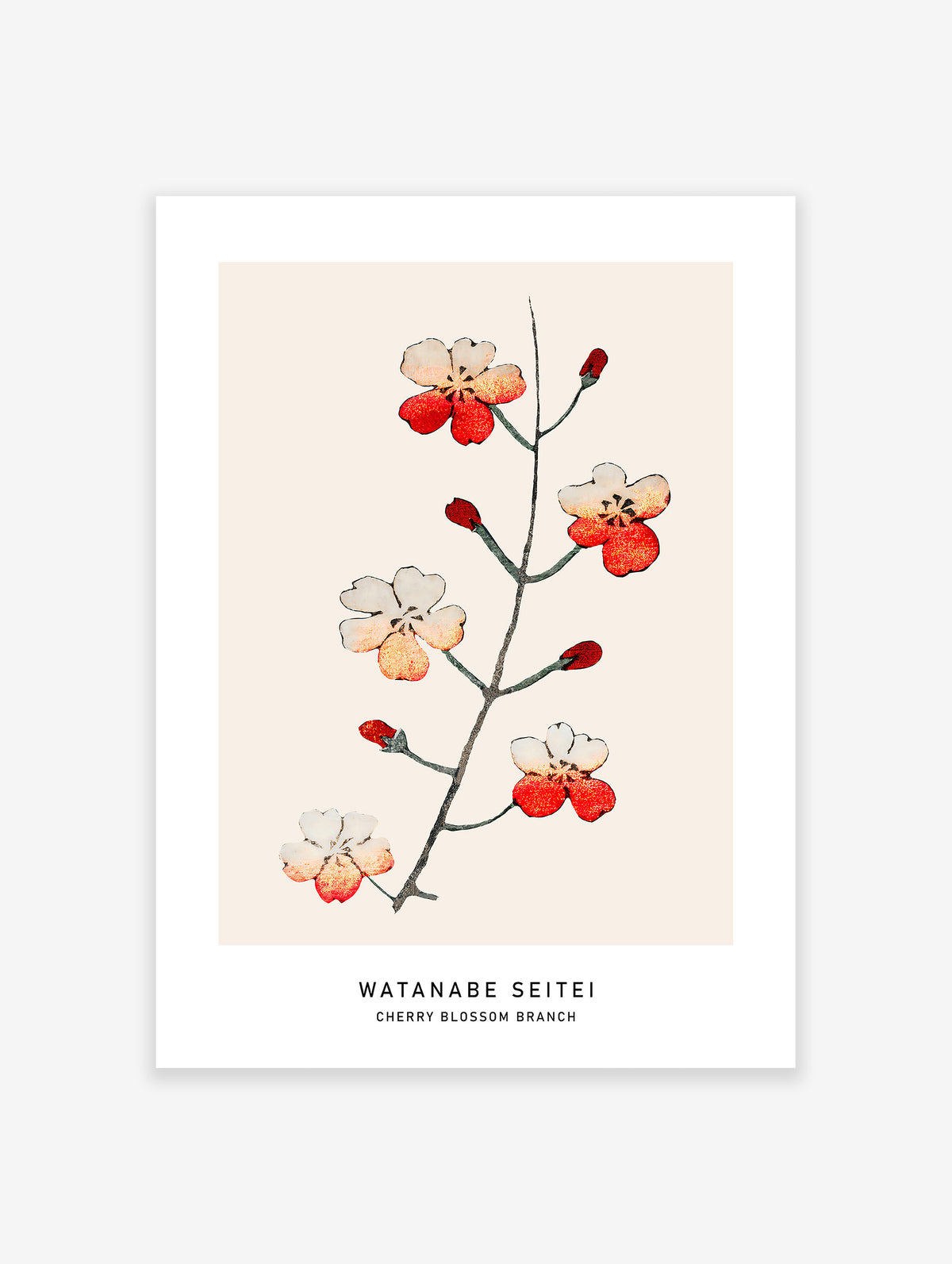 Japanese Cherry Blossom Poster, Japanese Print