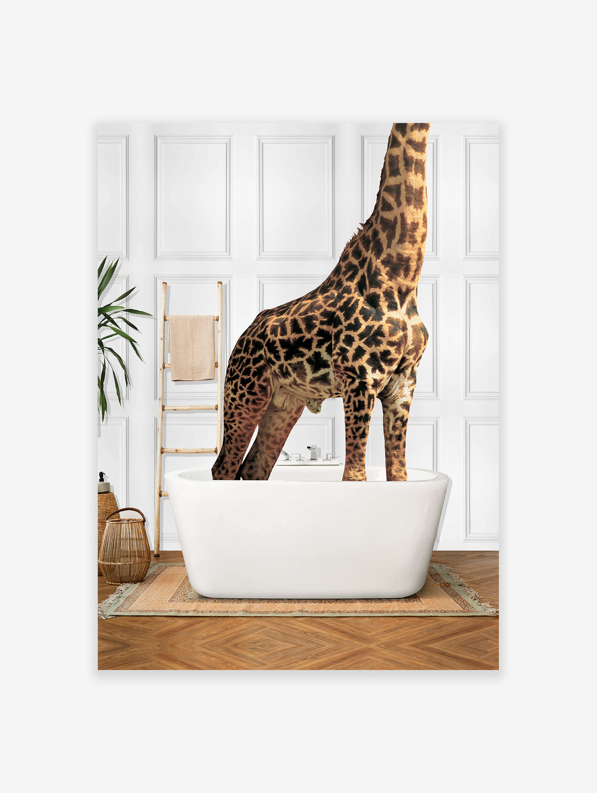 Giraffe in the Bathtub Poster, Giraffe Print