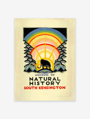 Museum of Natural History Poster, Museum Print