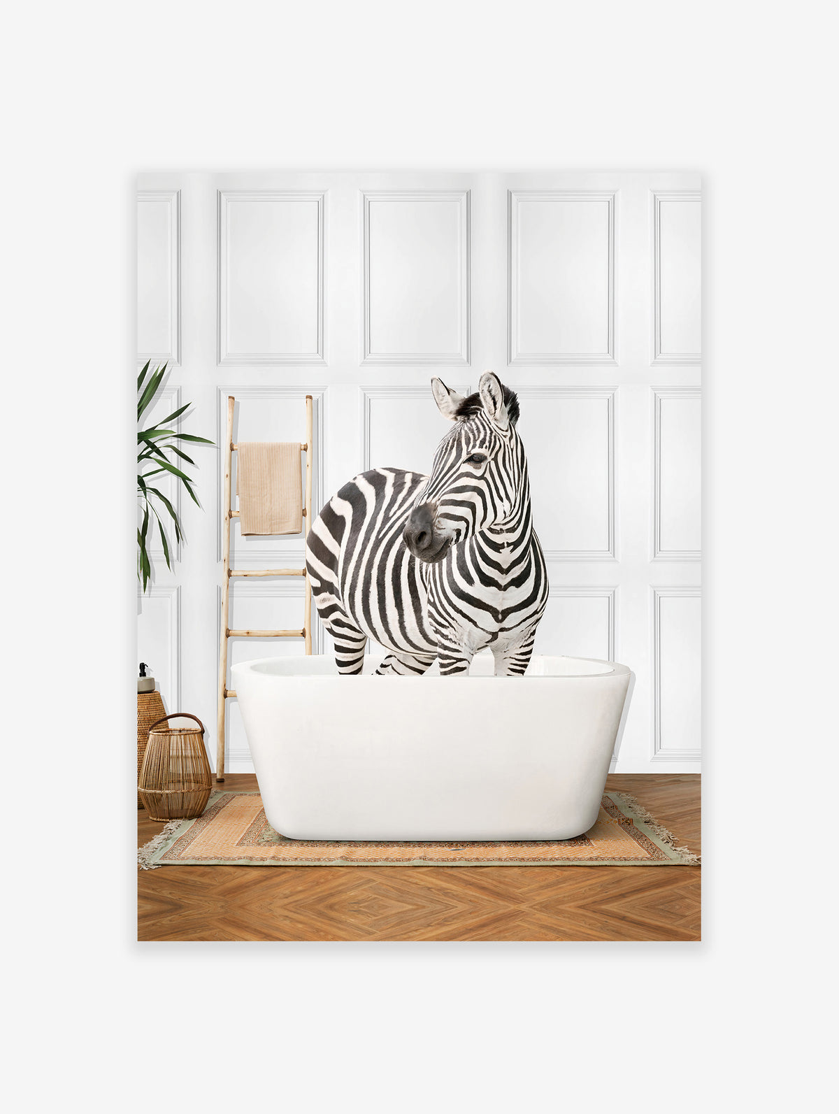 Zebra in the Bathtub Poster, Zebra Print