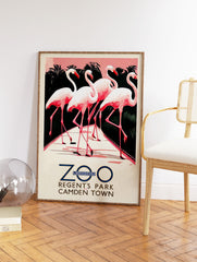 Flamingo Poster, London Zoo Print