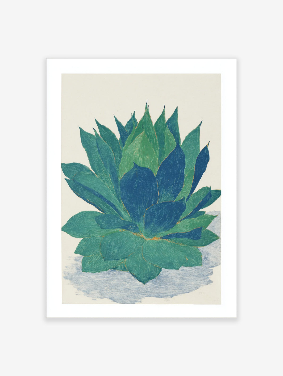 Botanical illustration print of an agave plant with large green and blue succulent leaves on a white background