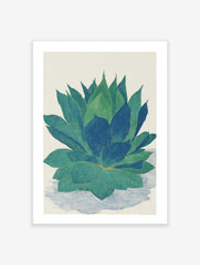 Botanical illustration print of an agave plant with large green and blue succulent leaves on a white background