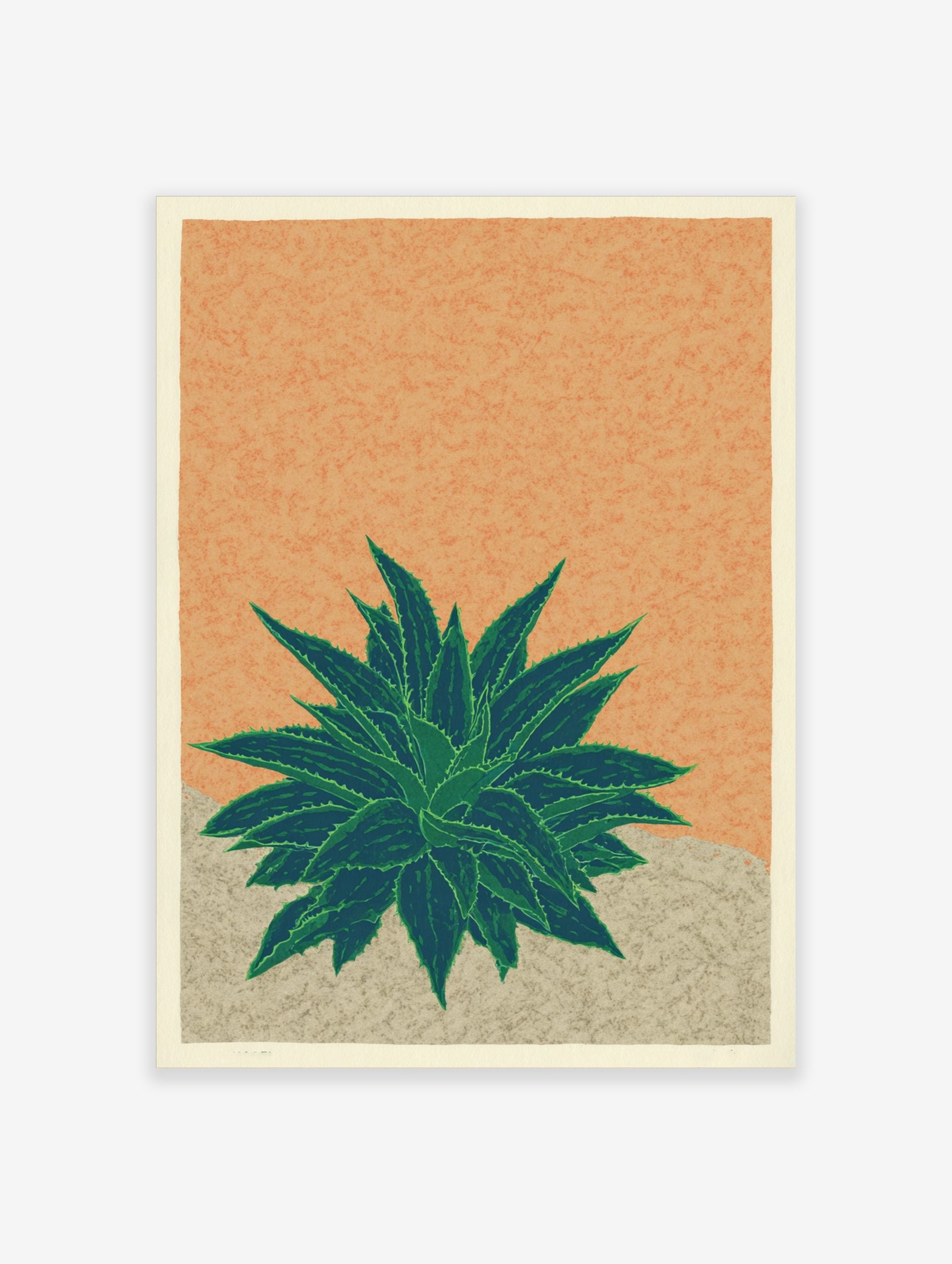 Illustrative agave plant print with spiky green leaves on a textured orange background and beige ground