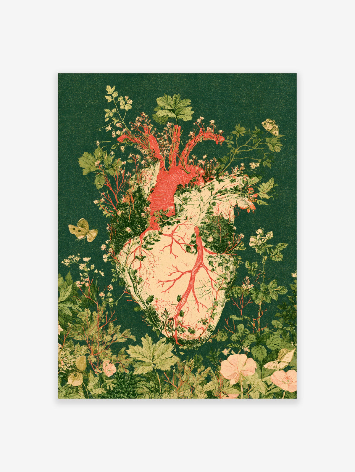 Anatomical heart poster with red arteries, green leaves, white flowers, and a yellow butterfly on dark green