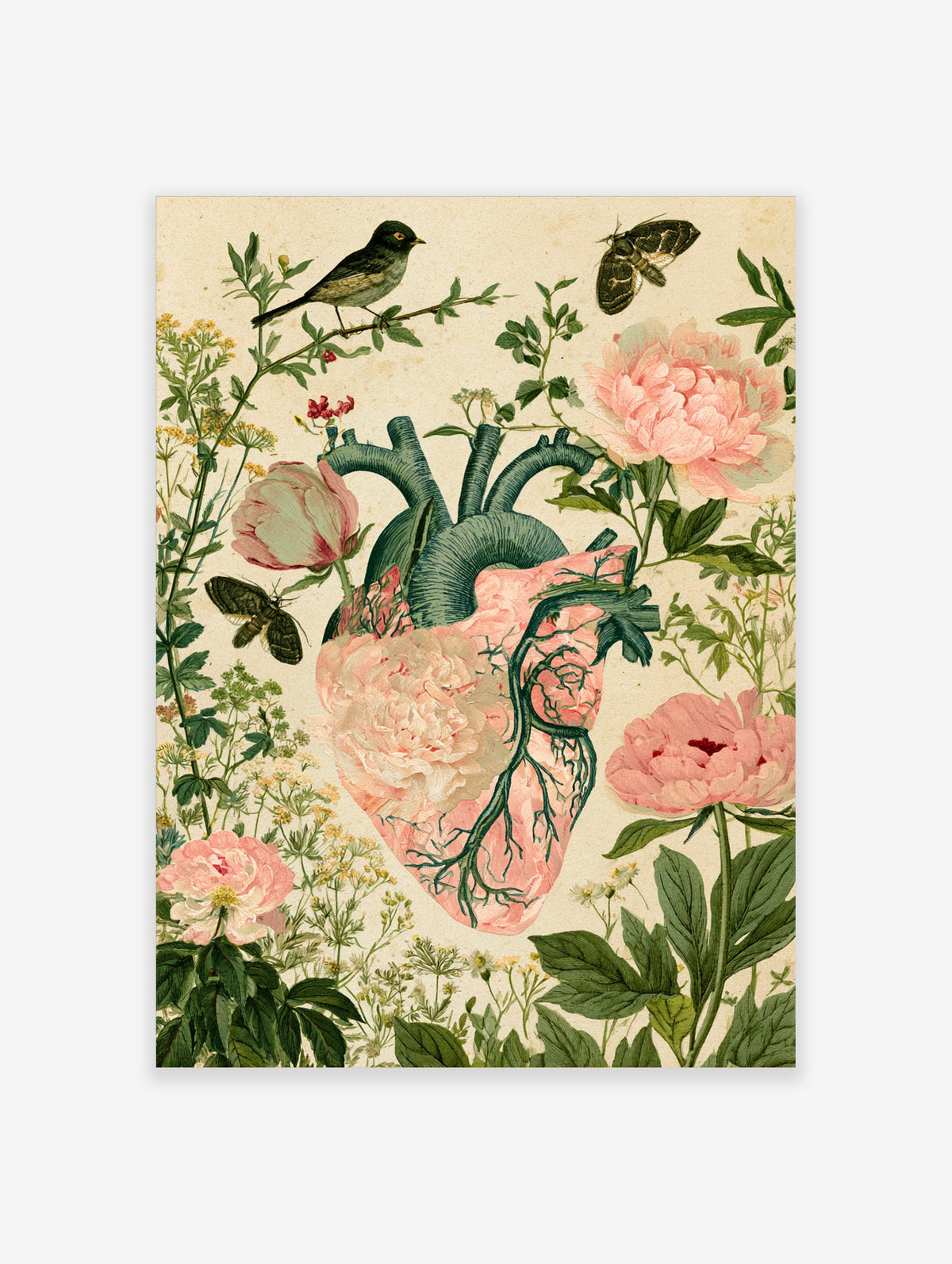 Anatomical heart poster with pink peony flowers, green veins, bird and moths on beige background
