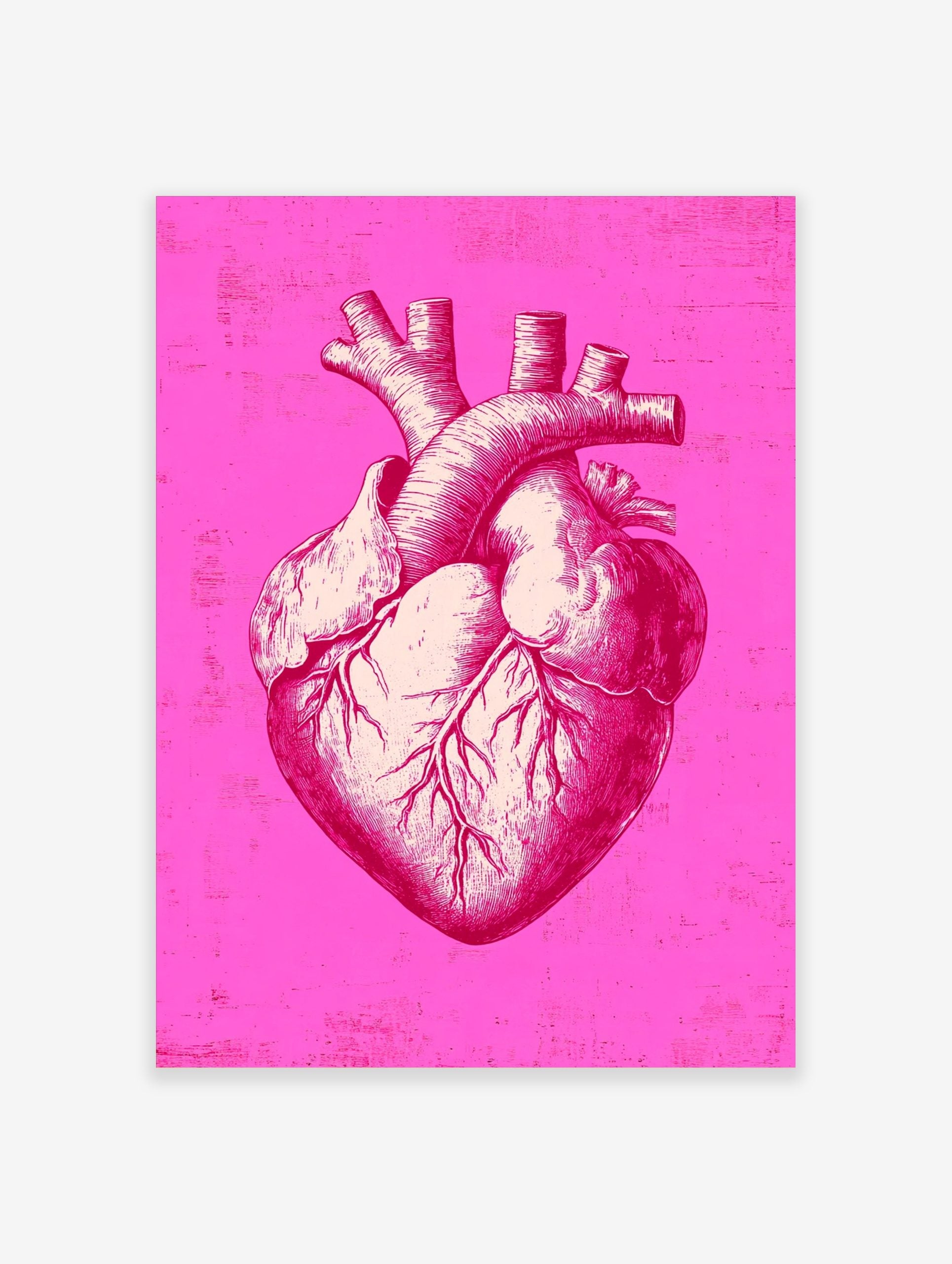 Detailed anatomical heart illustration print in bright pink and off-white with distressed background