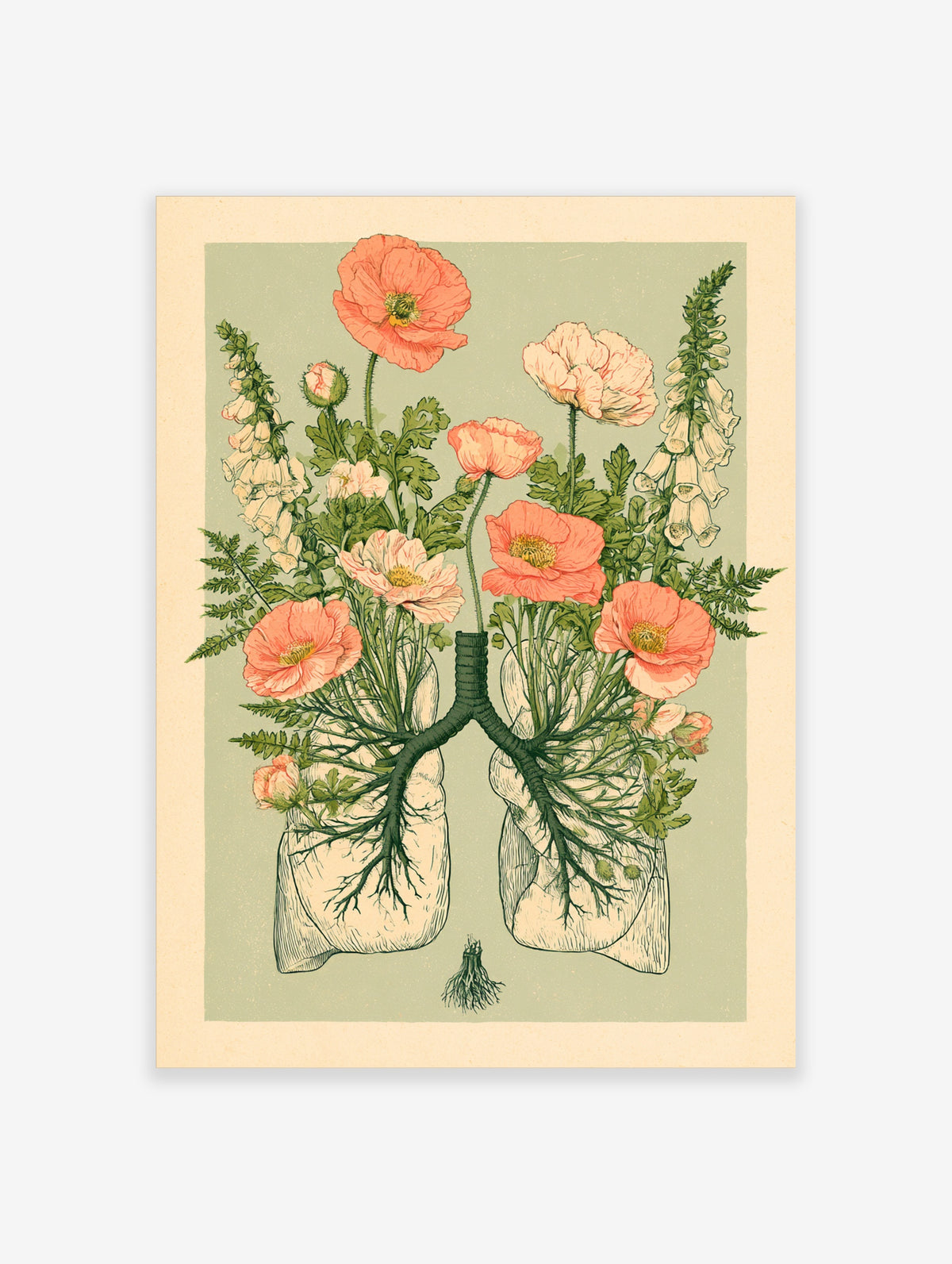 Anatomical lungs floral art print with pink poppies and white foxgloves on sage green background