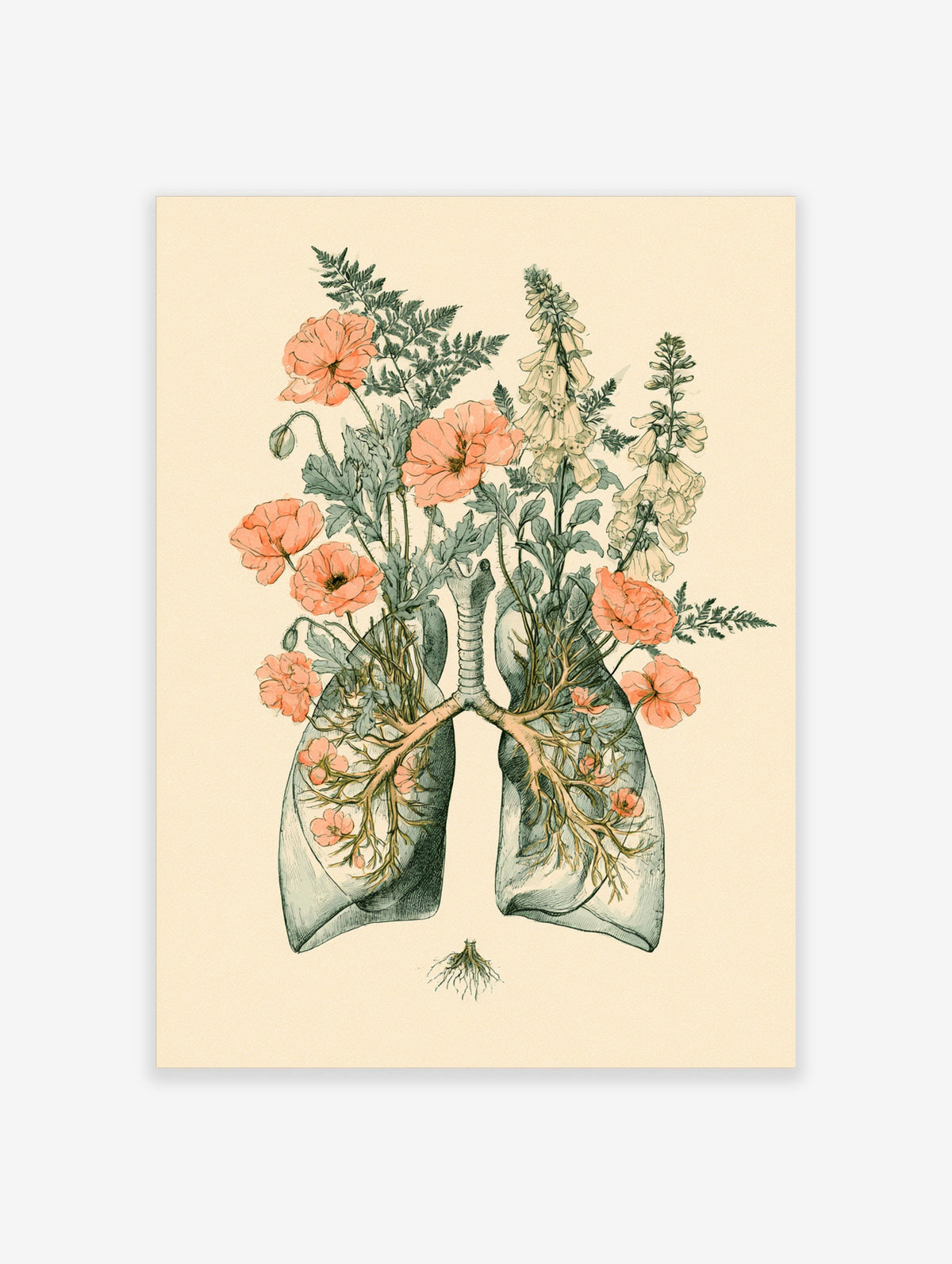 Anatomical lungs illustration with peach poppies and cream foxgloves growing from the bronchi on a beige background