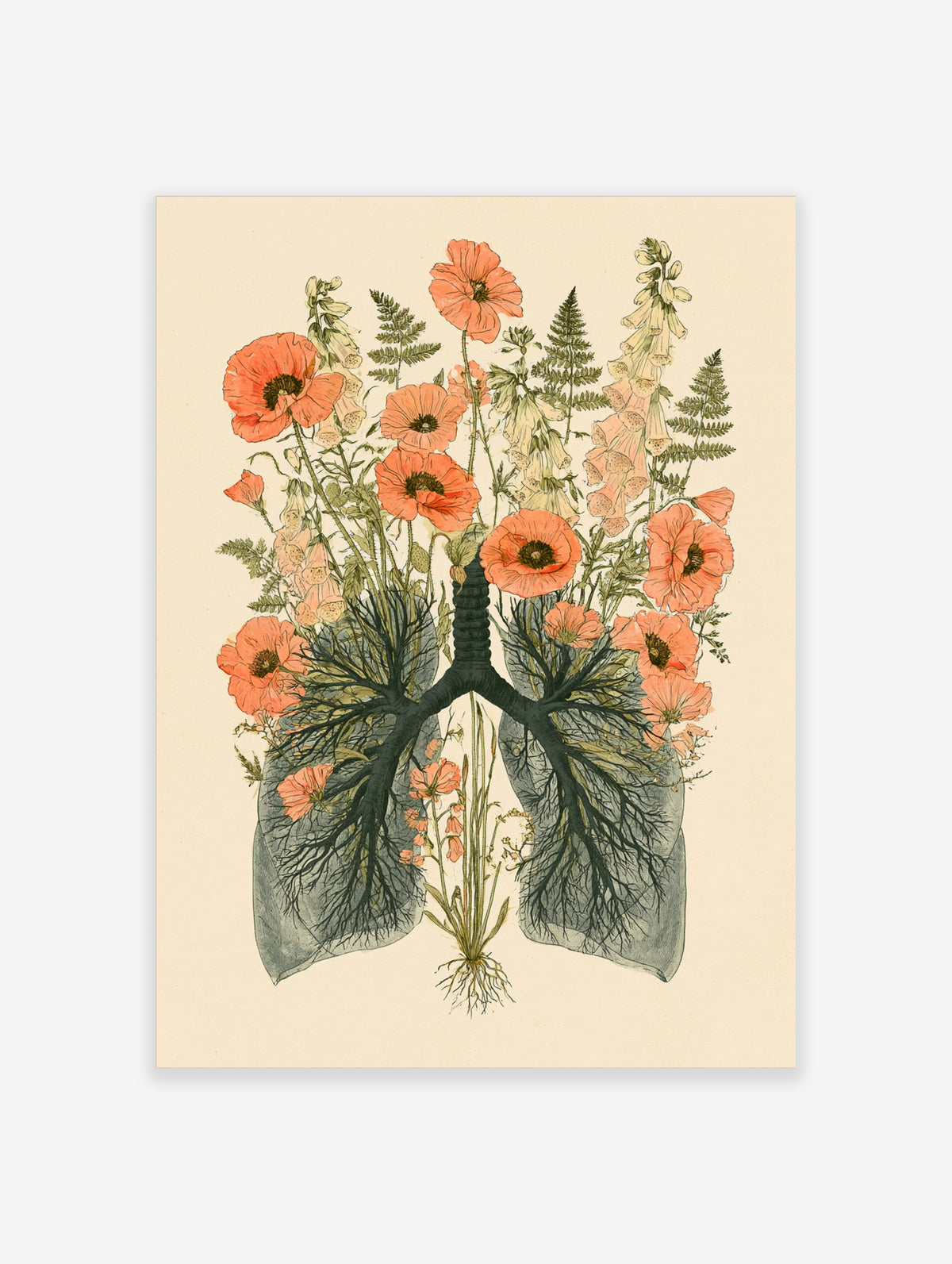 Anatomical lungs poster with coral poppies and foxgloves, dark branching airways on cream background