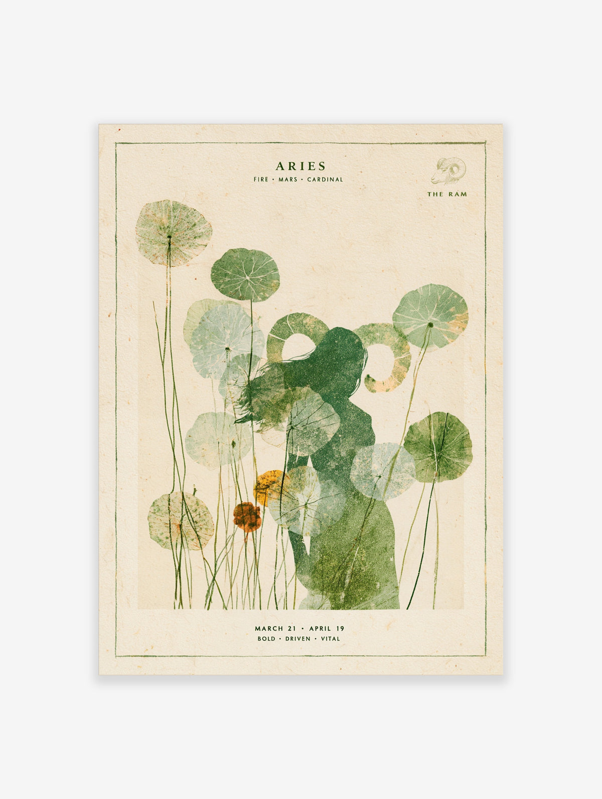 Aries zodiac poster with green silhouette, lotus-like seed heads, and astrology typography on beige background