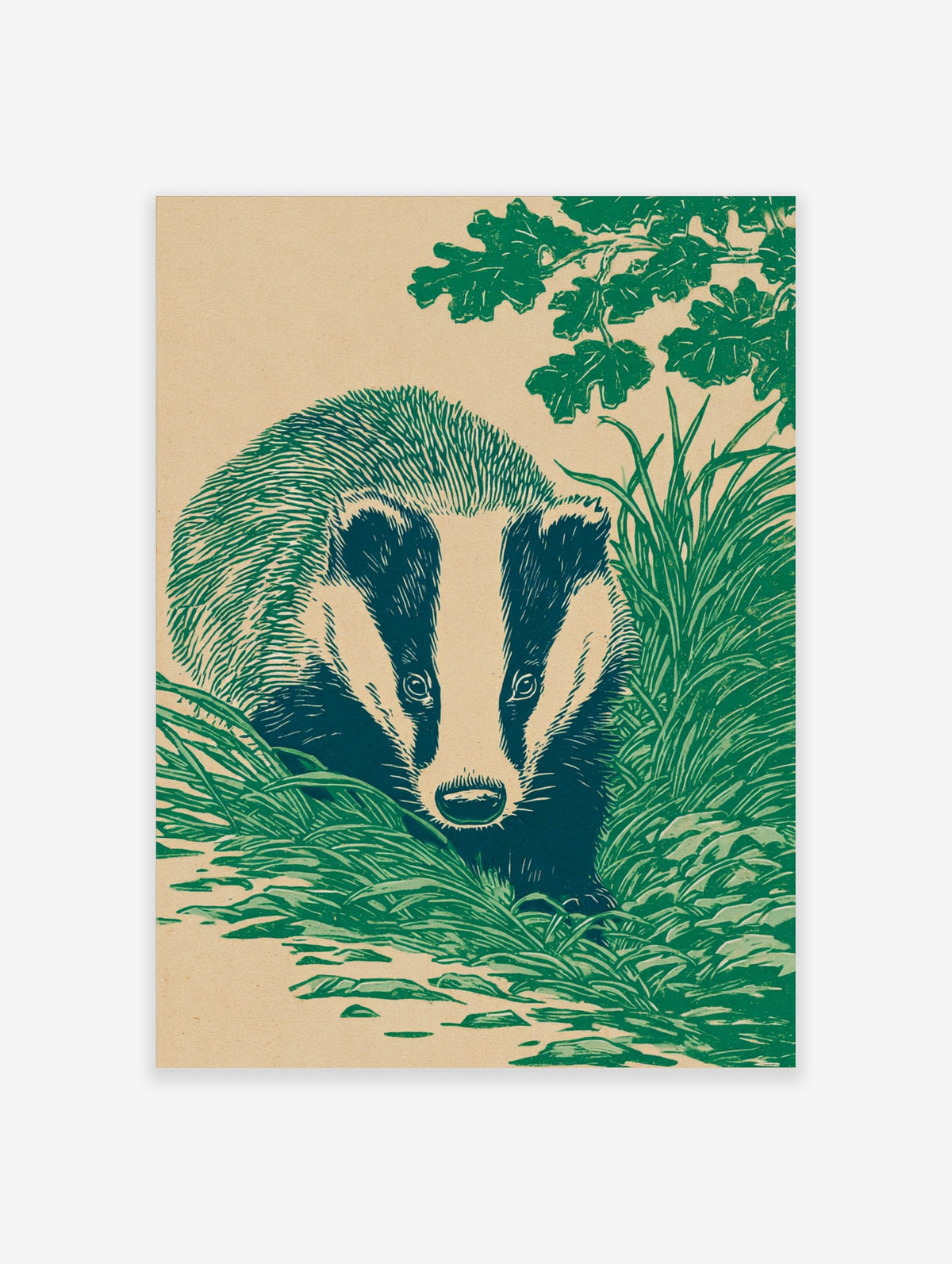 Illustrative linocut style print of a badger with striped face, hidden in green grass under oak leaves