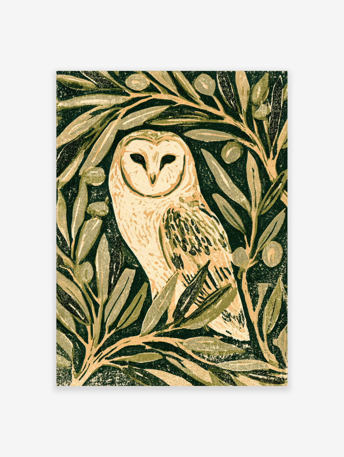 Barn owl art print perched among olive branches on a dark green background