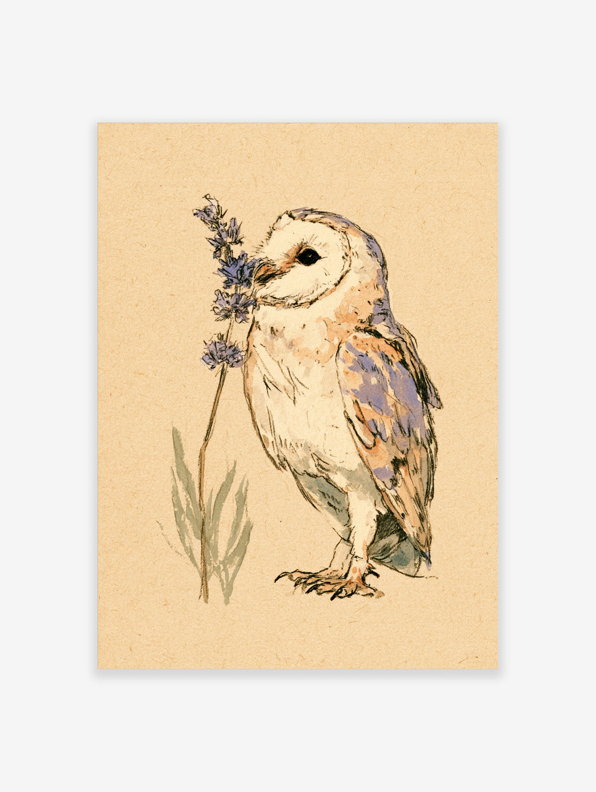 Barn owl watercolour and ink illustration standing beside a purple lavender stem on textured beige paper
