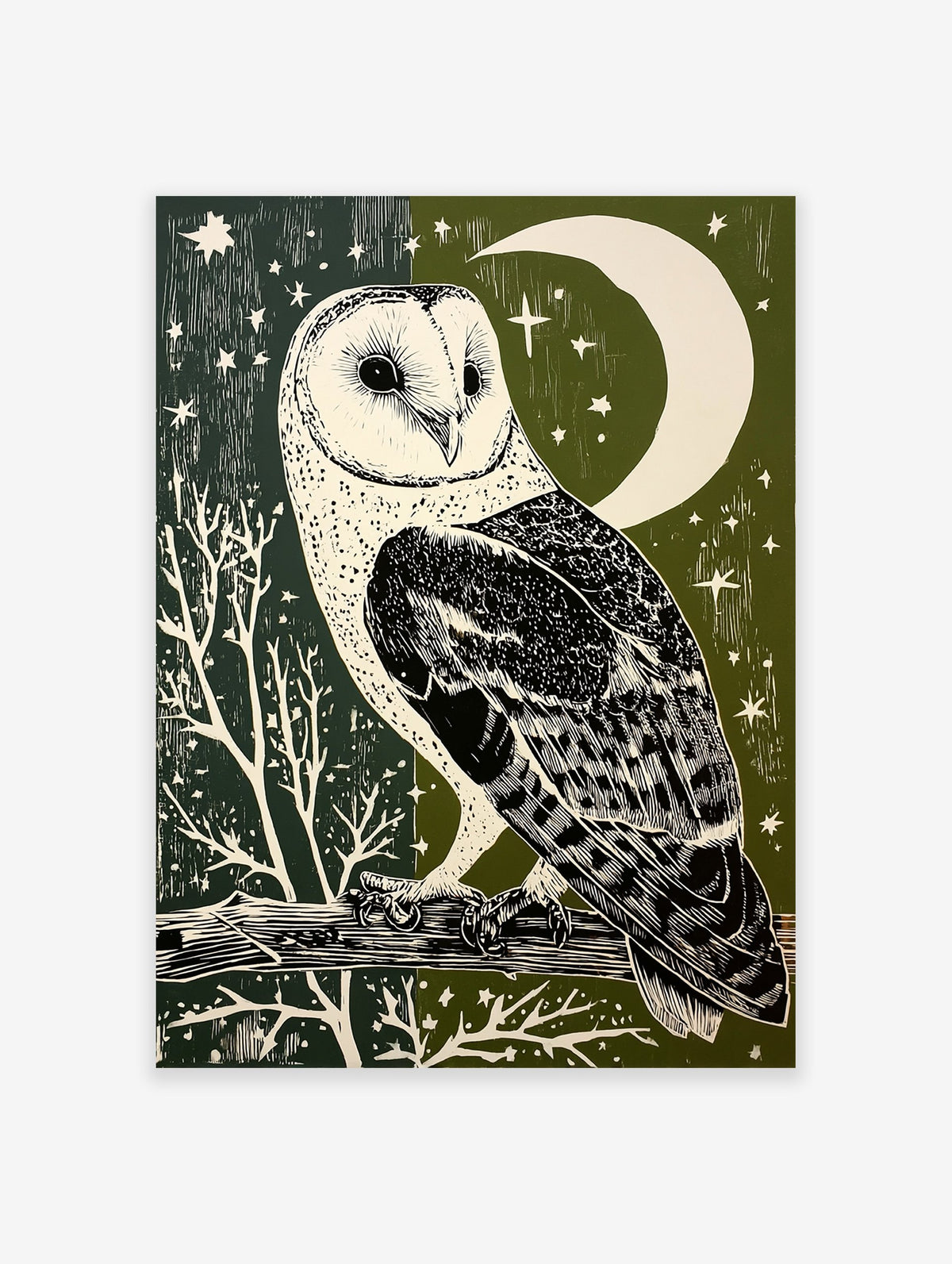 Barn owl illustration art print with a crescent moon and stars on a dark green and olive green background.