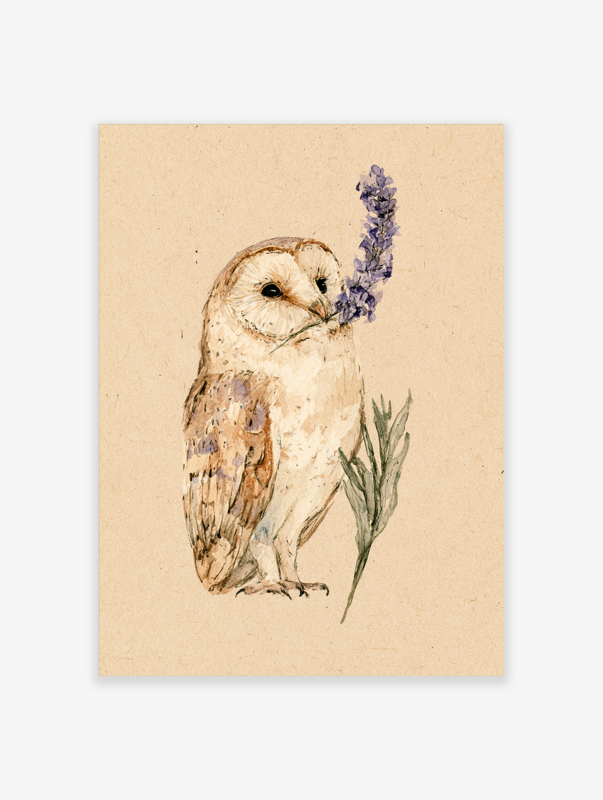 Barn owl watercolour print holding a purple lavender sprig on a beige background