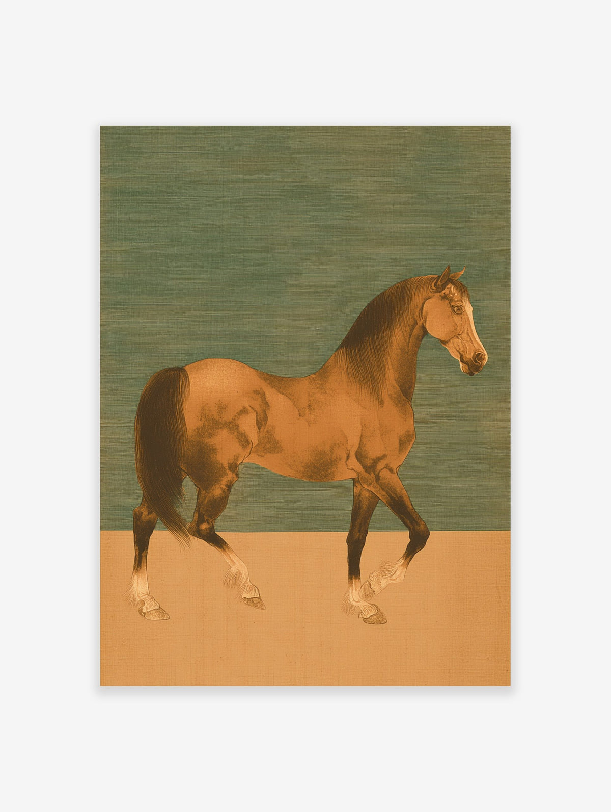 Illustrative bay horse walking in profile against a two-tone teal and beige background art print