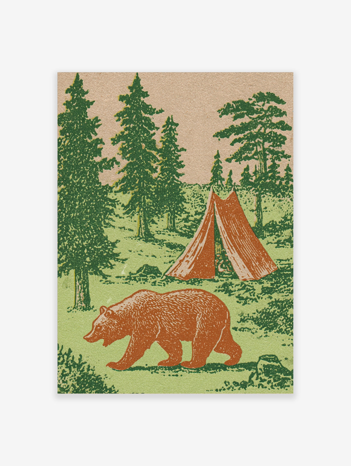 Brown bear walking past orange tent in green pine forest, camping poster illustration
