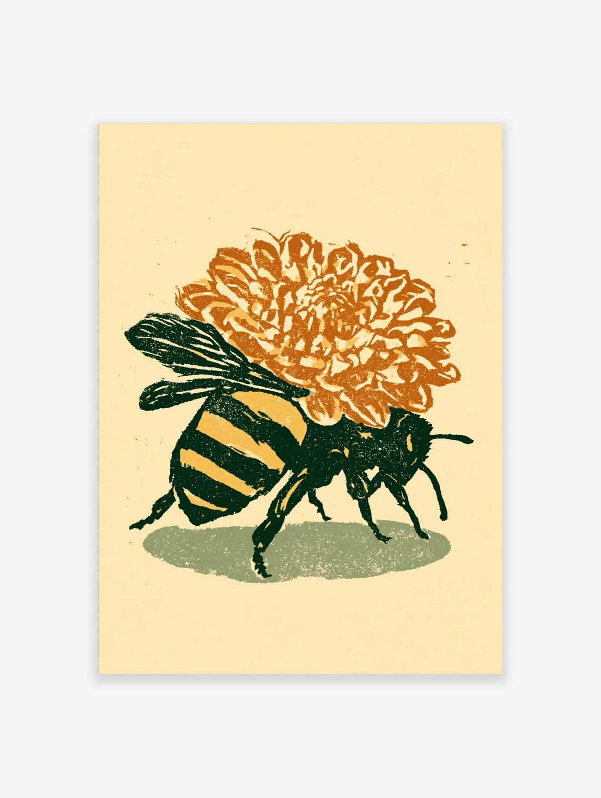 Bumblebee with dark green stripes under an orange chrysanthemum flower, cream background, art print