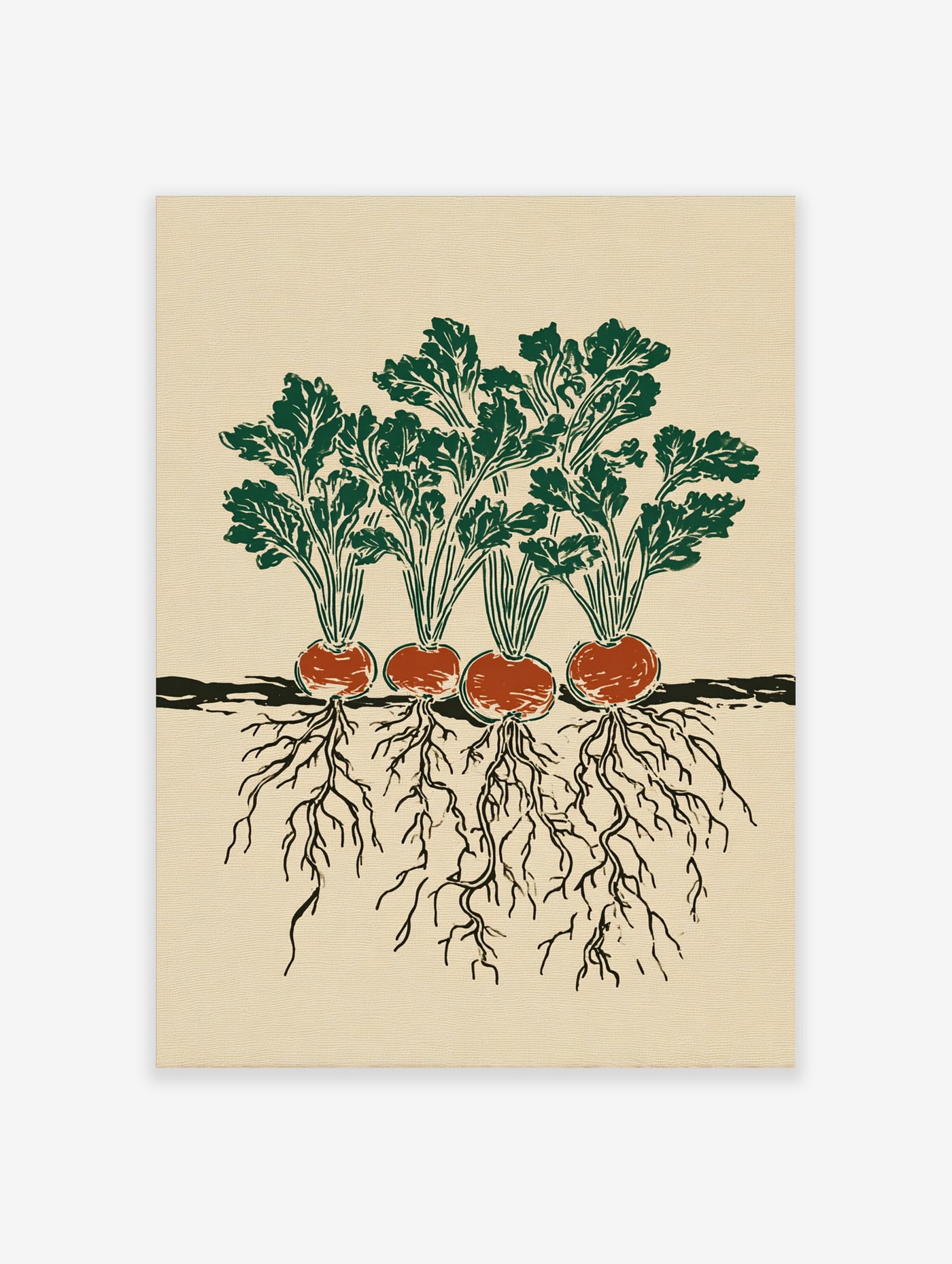 Beetroot botanical illustration with green leaves and orange roots on beige background