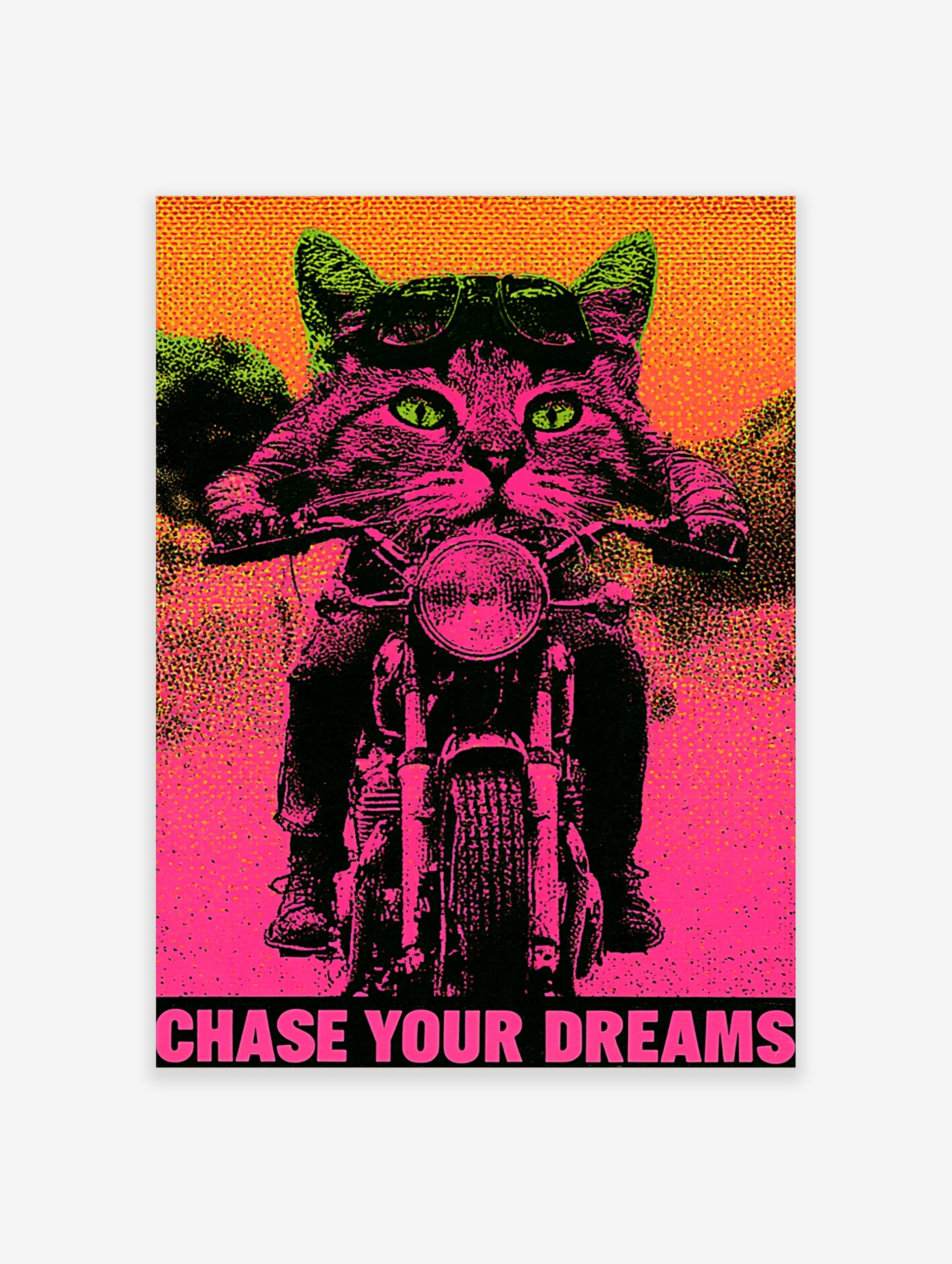 Neon pink and green biker cat poster with aviator goggles, motorcycle, and the text Chase Your Dreams