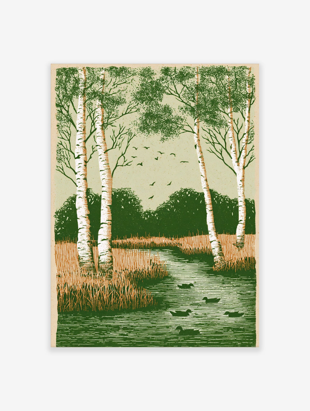 Birch trees, winding river with ducks, and flying birds in a green, textured, illustrative landscape print