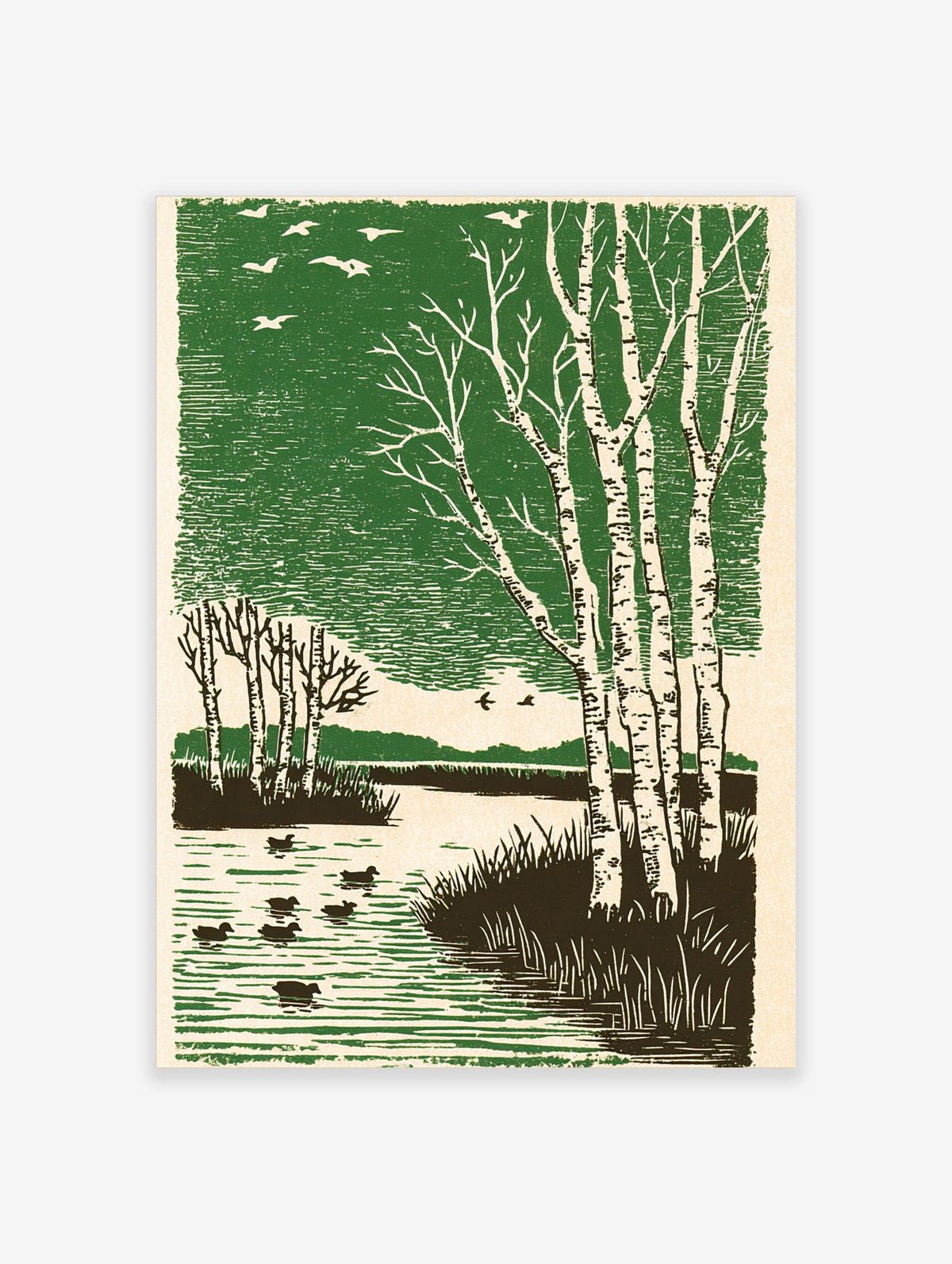 Woodcut style print of white birch trees, ducks on a pond, and flying birds against a green sky