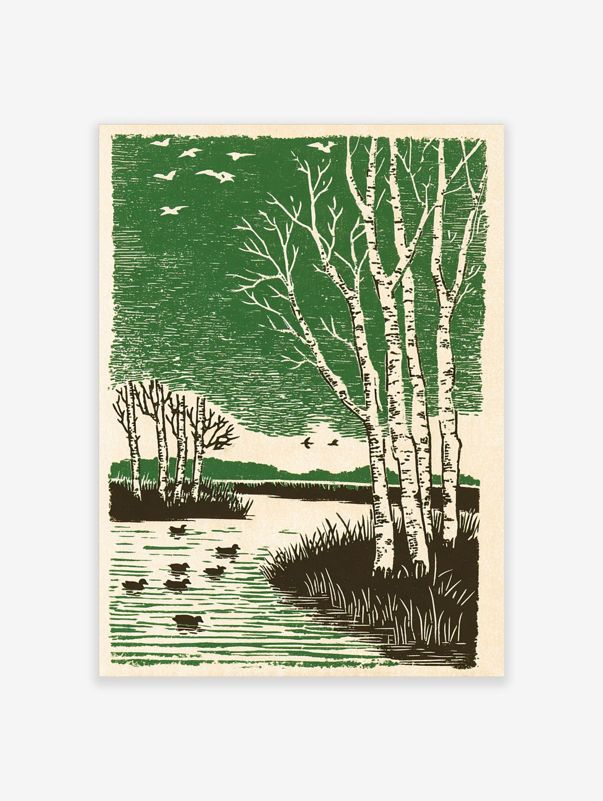 Illustrative art print of birch trees, ducks, and birds in a serene green and brown lake landscape