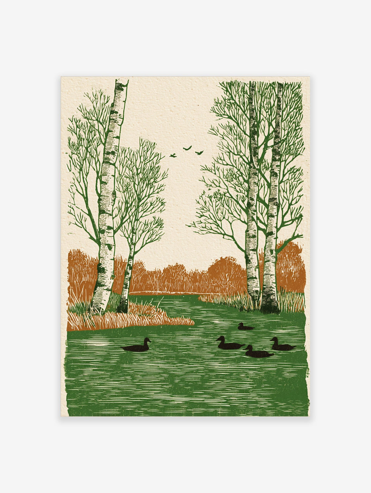 Illustrative print of birch trees, ducks in green water, flying birds, and brown bushes in a riverside scene