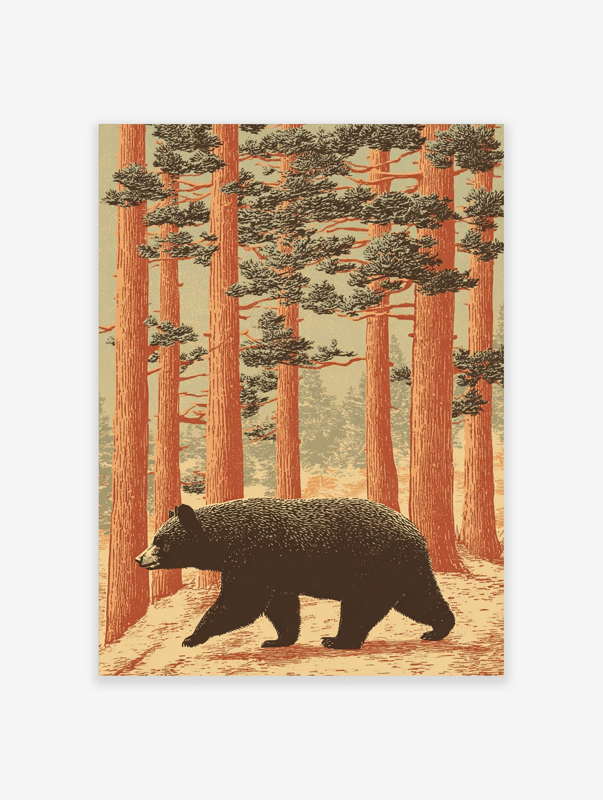 Black bear walking through a pine forest with rust-red trunks and green canopies, illustrative poster