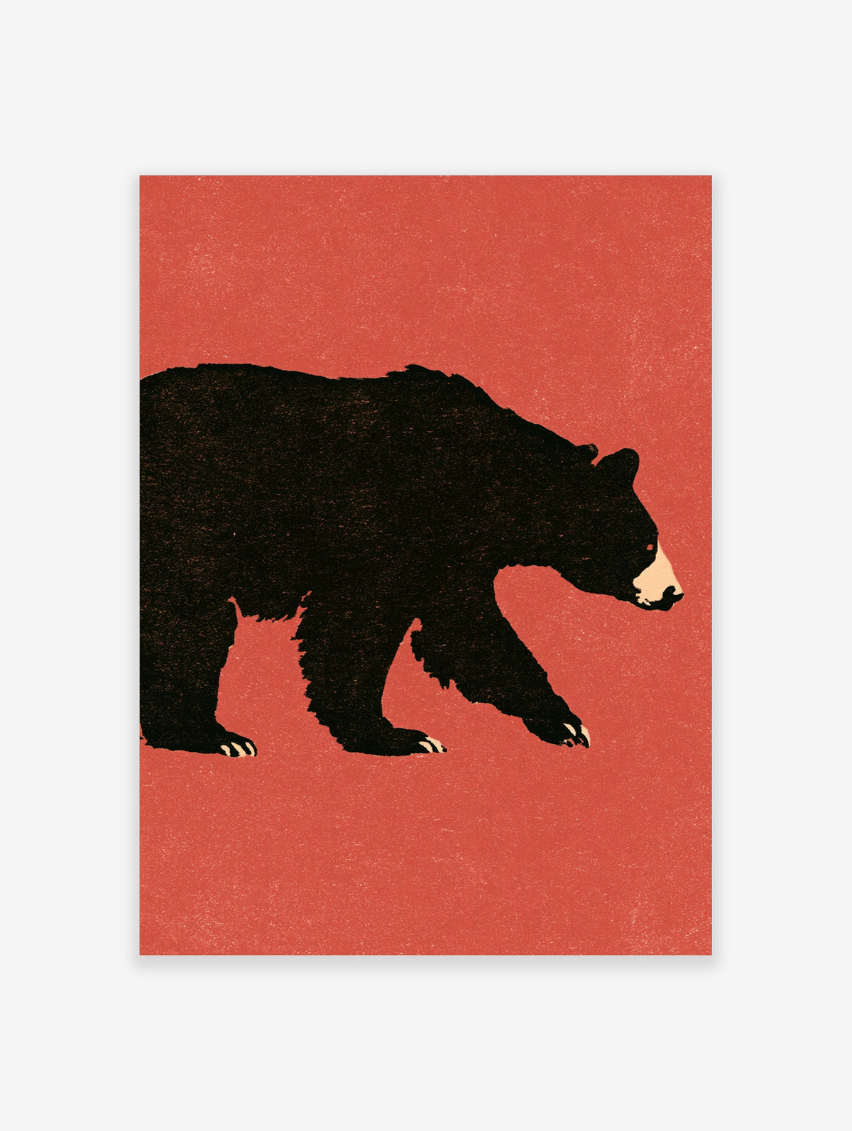 Black bear silhouette walking on a textured red background, animal poster print