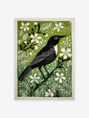 Black bird with white chest and eye on a branch, surrounded by green foliage and white flowers, illustrative print
