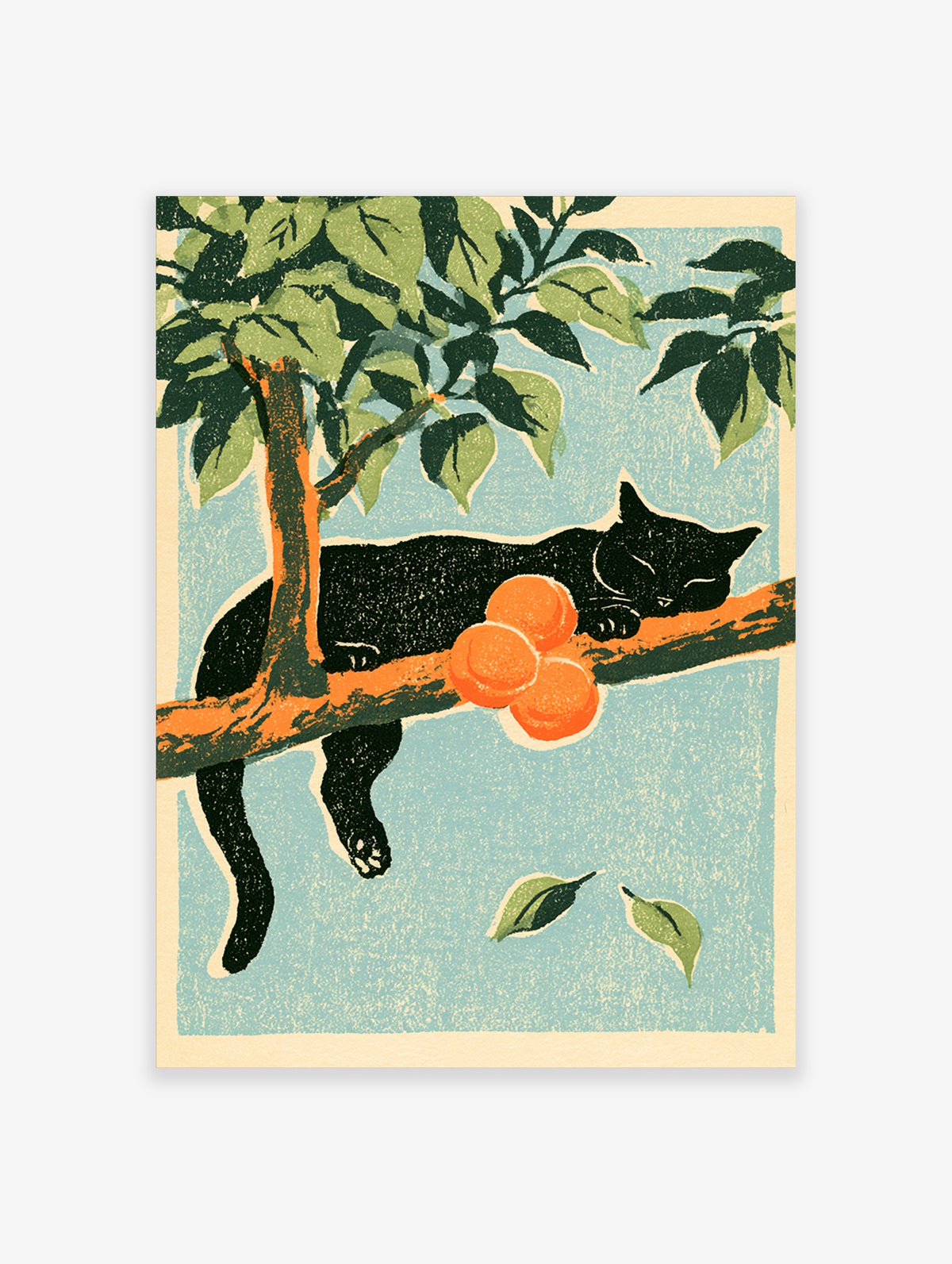 Black cat sleeping on orange tree branch with three oranges and green leaves, pale blue background art print